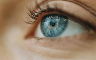 Companies House Identity Check for Directors