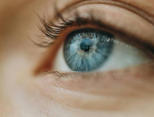 Identity Checks for Company Directors